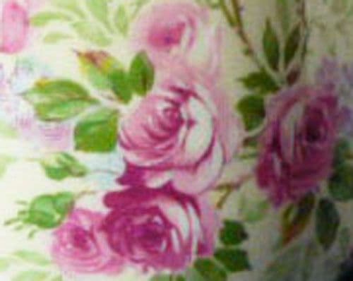 June Roses