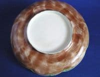 Large Adams and Bromley Majolica 'Water Lily' Plate c1880 #3