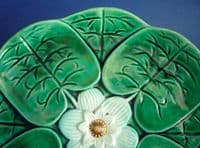 Large Adams and Bromley Majolica 'Water Lily' Plate c1880 (Sold)
