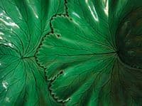 Large Copeland Green Majolica 'Vine Leaf' Two Handled Dish c1860 (Sold)