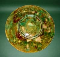 Lovely Majolica Fern and Flower plate c1870