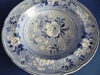 Lovely Spode Botanical Series Soup Plate c1820