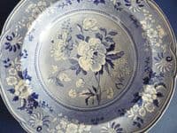 Lovely Spode Botanical Series Soup Plate c1820