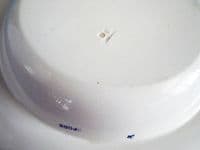 Lovely Spode Botanical Series Soup Plate c1820