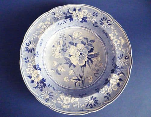 Lovely Spode Botanical Series Soup Plate c1820
