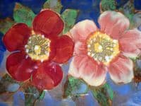 Lovely Vintage Royal Doulton 'Wild Rose' Sandwich Tray D6227 c1940