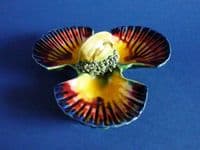 Majolica Palissy Style 'Scallop Shell and Mussel' Triple Salt c1890
