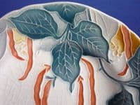 Minton Secessionist Ware 'Love-lies-bleeding' Plate c1904