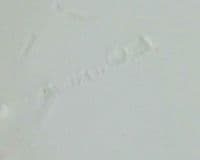 Pair of Minton Pink Bone China Posy Baskets c1870