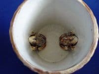 Rare Majolica 'Bamboo' Frog Mug with Two Frogs c1870