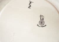 Rare Royal Doulton Daily Mirror 'Pip, Squeak and Wilfred' Child's Dinner Plate c1929