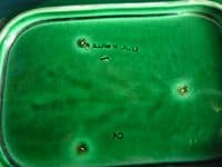Rare Wedgwood Green Majolica 'Foxglove' Serving Dish c1870 #2 (Sold)