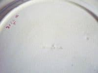 Rare Wedgwood Turquoise Majolica Fish Plate c1873 (Sold)