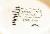 Shelley 'Fruit and Leaf' Pattern 11441 Milton Trio c1925