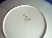 Shelley Queen Anne 'Archway of Roses' Cake Plate c1928