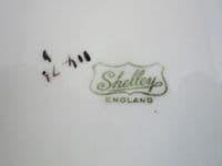 Shelley Queen Anne 'Black Trees' Pattern 11476 Cake Plate c1926