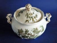 Spode Green Bat Printed 'Bird and Vine' Porcelain Sucrier c1830