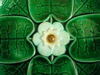 Unusual Small Adams and Bromley Majolica 'Water Lily' Plate c1880
