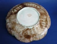 Unusual Small Adams and Bromley Majolica 'Water Lily' Plate c1880