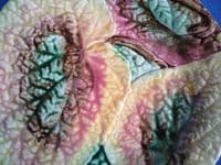 Victorian Majolica Begonia Leaf Plate c1880 #1