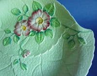Vintage Carlton Ware Large Green 'Wild Rose' Dished Plate c1938