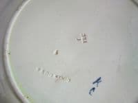 Wedgwood Coloured Majolica 'Sunflower' Plate c1874 (Sold)