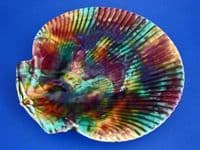 Wedgwood Majolica Scallop Shell Plate c1863 (Sold)
