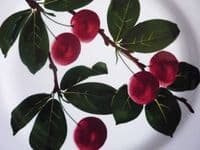 Wemyss Ware 'Cherries' Plate c1910