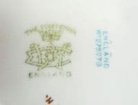 Wileman 'Fern' pattern 5900 Lily shape trio c1896