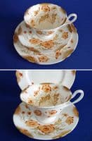 Wileman Foley China 'Poppy' Pattern 7584 Gainsborough Trio c1902