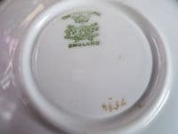 Wileman Foley China 'Poppy' Pattern 7584 Gainsborough Trio c1902