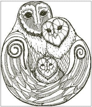 A Hug of Owls (outline only)