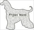 Afghan Hound In Words