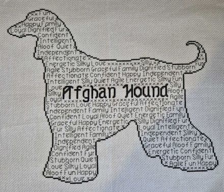 Afghan Hound In Words