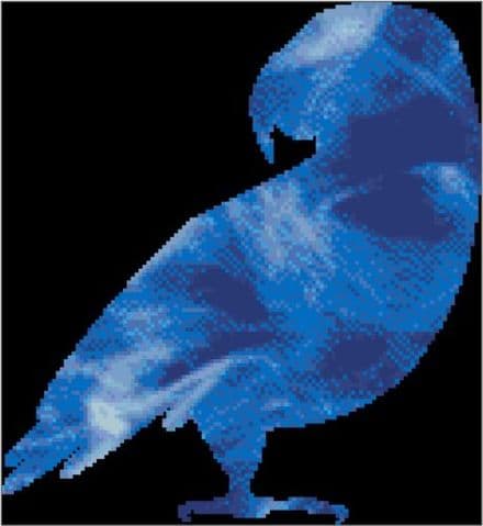 African Grey Spirit Guide