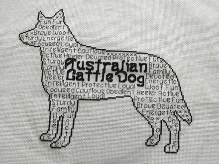 Australian Cattle Dog In Words