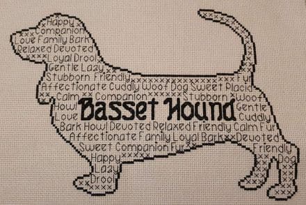 Basset Hound In Words
