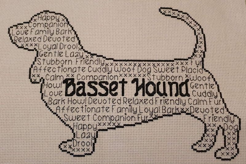 Basset Hound In Words
