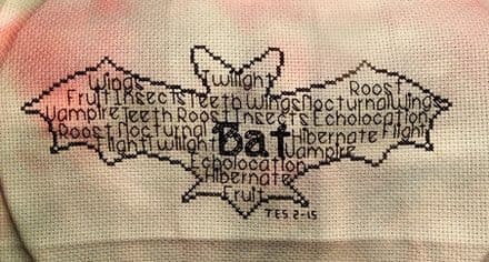 Bat In Words
