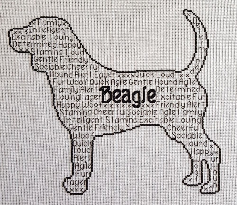Beagle In Words