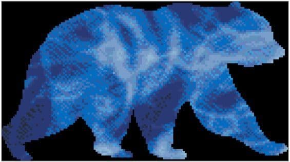 Bear Spirit Guide