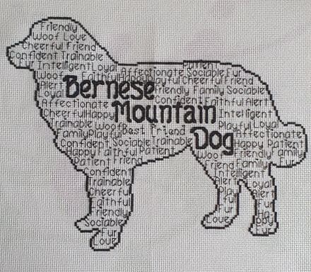 Bernese Mountain Dog In Words