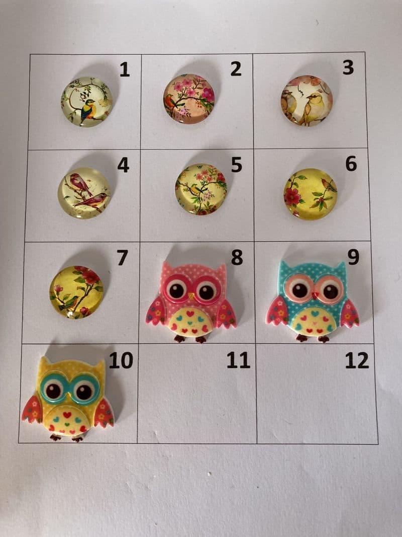 Birds 3 Needle Minder