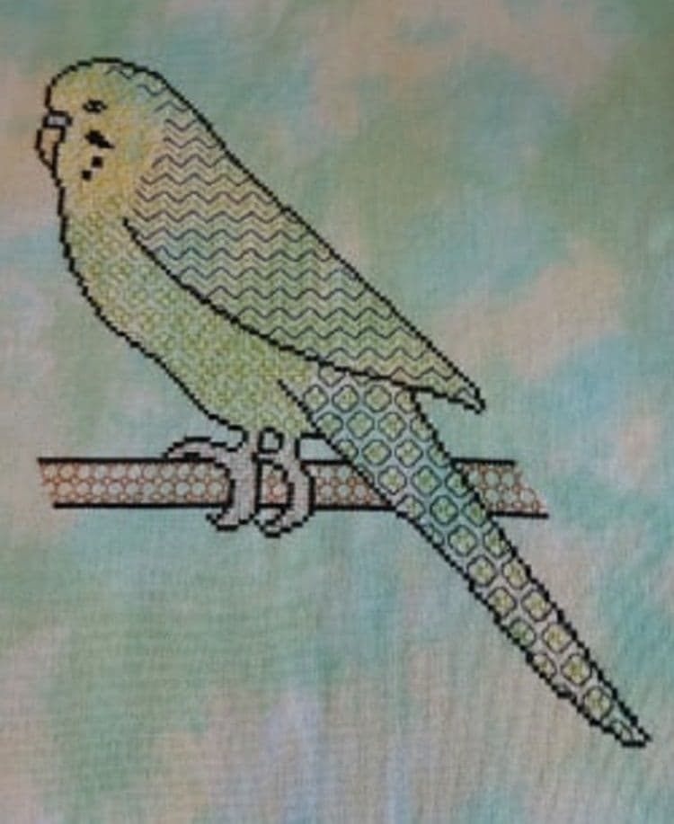 Blackwork Budgie