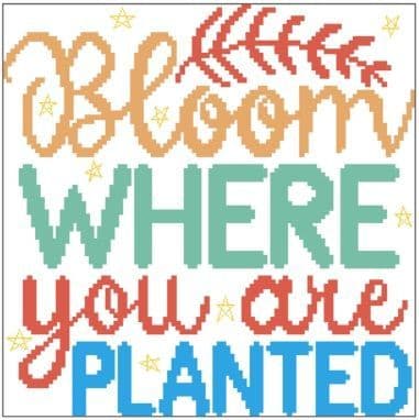Bloom Where You Are Planted