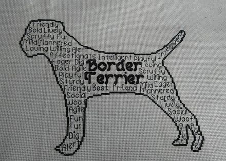 Border Terrier In Words