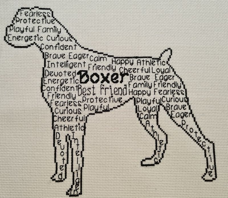Boxer In Words