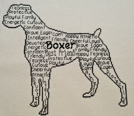 Boxer In Words