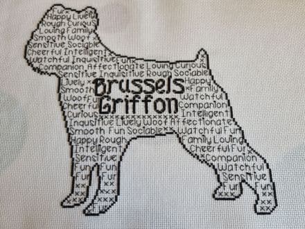 Brussels Griffon In Words