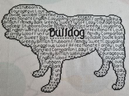 Bulldog In Words